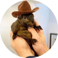 Peanut the Squirrel