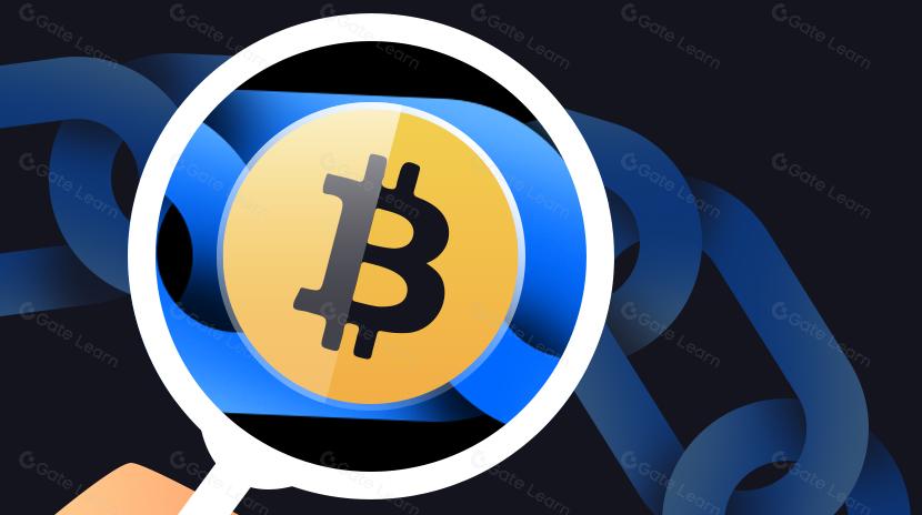 Inscriptions On-chain: The Renaissance of BTC