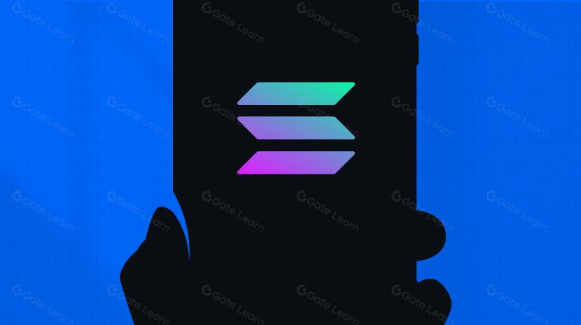  Evolution of the Solana Ecosystem: From "Ethereum Killer" to Innovation Pioneer