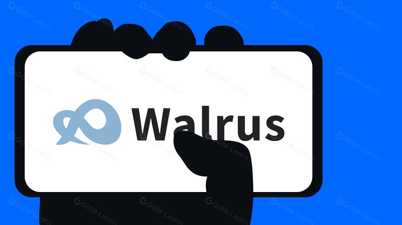 Walrus: Sui's Next-Gen Decentralized Multimedia Storage Solution