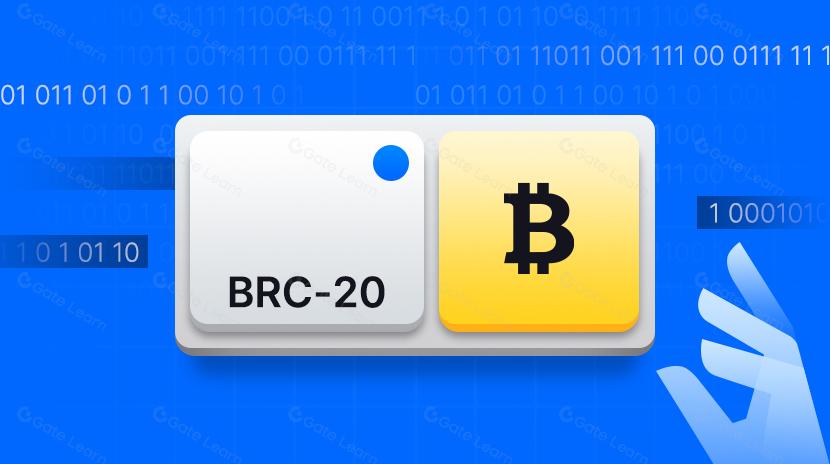 BTC and Projects in The BRC-20 Ecosystem