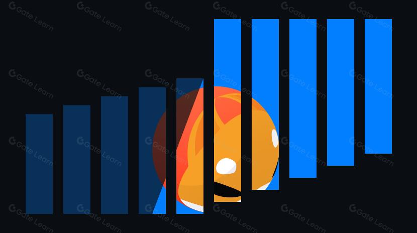 Top 10 Meme Coin Trading Platforms