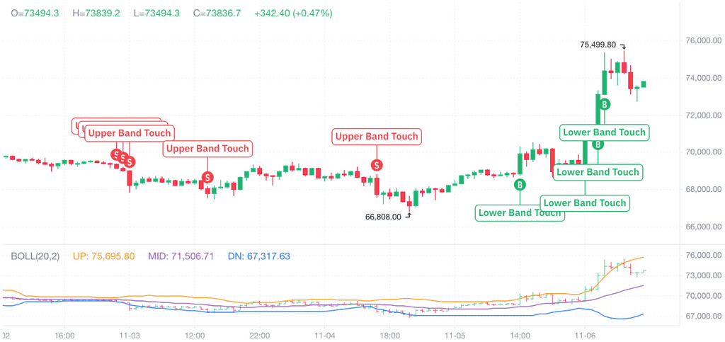 Trump’s re-election boosts BTC to a new all-time high; how to trade in the coming market?