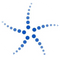 Blockchain Capital