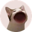popcat